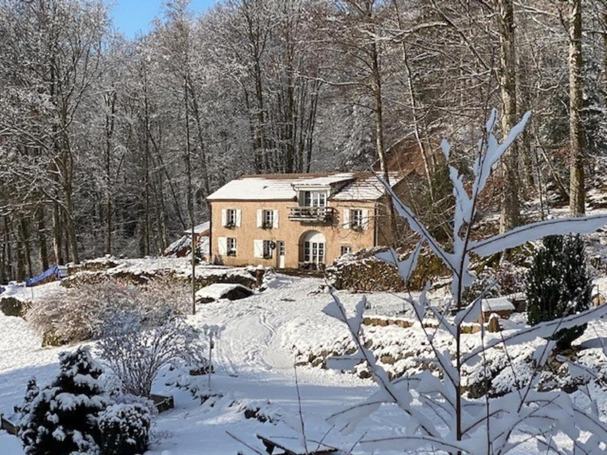 Gite Du Bois Des Hauts Les Mille Etangs La Lanterne-et-les-Armonts Екстер'єр фото